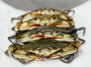 Soft Shell Crabs